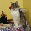 Отзыв от Ольга Воронова